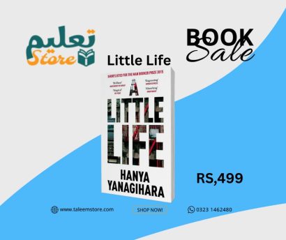 A Little Life Novel by Hanya Yanagihara